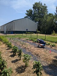 Louie Community Garden