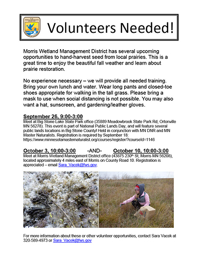 2020 Seed Harvest Volunteer Flyer1024_1