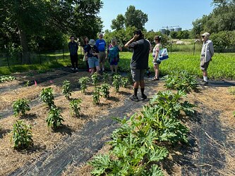 Community Garden Field Trip